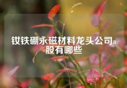 釹鐵硼永磁材料龍頭公司a股有哪些