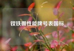 釹鐵硼性能牌號表國標(biāo)