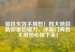 磁鐵失效不用愁！四大絕招助你重拾磁力，冰箱門再也不用擔(dān)心掉下來！