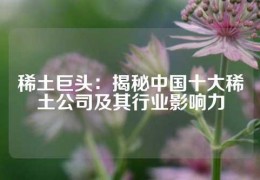 稀土巨頭：揭秘中國十大稀土公司及其行業影響力