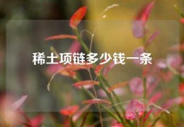 稀土項鏈多少錢一條