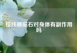 釹鐵硼磁石對身體有副作用嗎