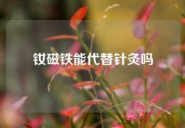 釹磁鐵能代替針灸嗎