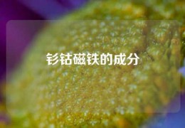 釤鈷磁鐵的成分