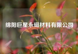 綿陽巨星永磁材料有限公司