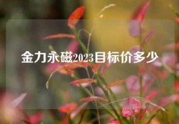 金力永磁2023目標價多少