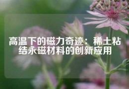 高溫下的磁力奇跡：稀土粘結永磁材料的創新應用