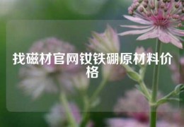 找磁材官網釹鐵硼原材料價格