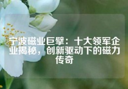 寧波磁業巨擘：十大領軍企業揭秘，創新驅動下的磁力傳奇