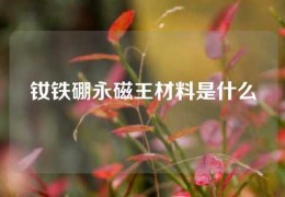 釹鐵硼永磁王材料是什么