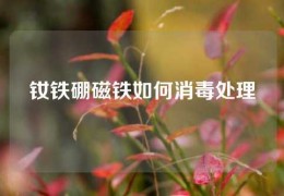 釹鐵硼磁鐵如何消毒處理