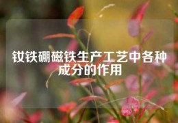 釹鐵硼磁鐵生產工藝中各種成分的作用