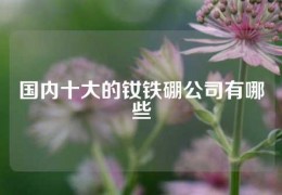 國內十大的釹鐵硼公司有哪些