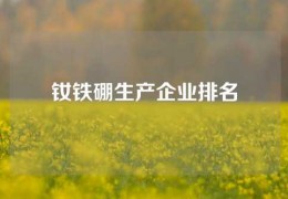 釹鐵硼生產企業排名