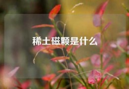 稀土磁顆是什么