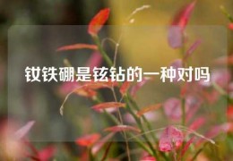 釹鐵硼是鉉鉆的一種對嗎