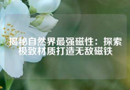 揭秘自然界最強磁性：探索極致材質(zhì)打造無敵磁鐵