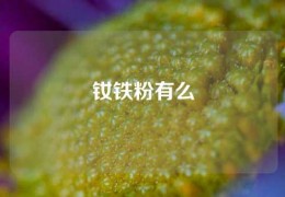 釹鐵粉有么