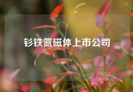 釤鐵氮磁體上市公司