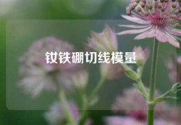 釹鐵硼切線模量