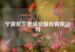 寧波尼蘭德磁業(yè)股份有限公司