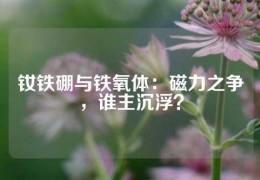 釹鐵硼與鐵氧體：磁力之爭(zhēng)，誰主沉浮？