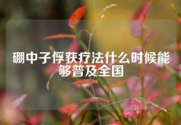 硼中子俘獲療法什么時(shí)候能夠普及全國(guó)