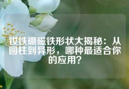 釹鐵硼磁鐵形狀大揭秘：從圓柱到異形，哪種最適合你的應用？