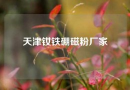 天津釹鐵硼磁粉廠家