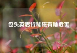 包頭英思特稀磁有啥危害