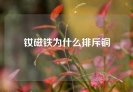 釹磁鐵為什么排斥銅