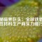 揭秘磁界巨頭：全球鐵氧體磁性材料生產(chǎn)商實力排行榜