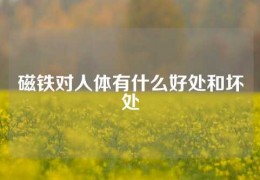 磁鐵對人體有什么好處和壞處