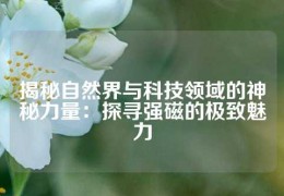 揭秘自然界與科技領域的神秘力量：探尋強磁的極致魅力