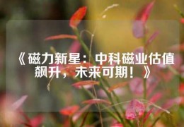 《磁力新星：中科磁業(yè)估值飆升，未來(lái)可期！》