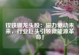 釹鐵硼龍頭股：磁力驅動未來，行業巨頭引領新能源革命！