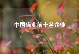 中國磁業前十名企業