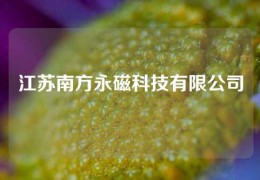 江蘇南方永磁科技有限公司