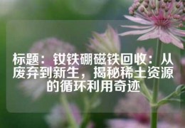 標題：釹鐵硼磁鐵回收：從廢棄到新生，揭秘稀土資源的循環(huán)利用奇跡