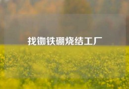 找銣鐵硼燒結工廠