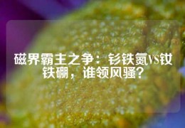 磁界霸主之爭：釤鐵氮VS釹鐵硼，誰領風騷？