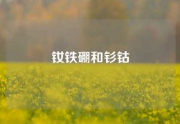 釹鐵硼和釤鈷