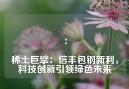 ：

稀土巨擘：信豐包鋼新利，科技創(chuàng)新引領(lǐng)綠色未來