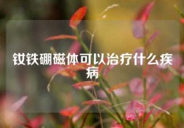 釹鐵硼磁體可以治療什么疾病