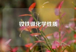 釹鐵硼化學性質(zhì)