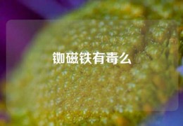 銣磁鐵有毒么