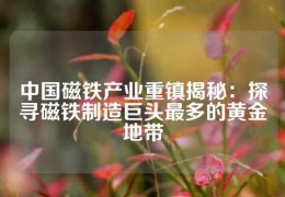 中國(guó)磁鐵產(chǎn)業(yè)重鎮(zhèn)揭秘：探尋磁鐵制造巨頭最多的黃金地帶