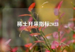 稀土開采指標2023