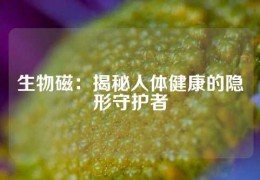 生物磁：揭秘人體健康的隱形守護者