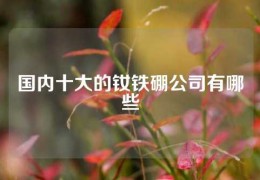 國內十大的釹鐵硼公司有哪些